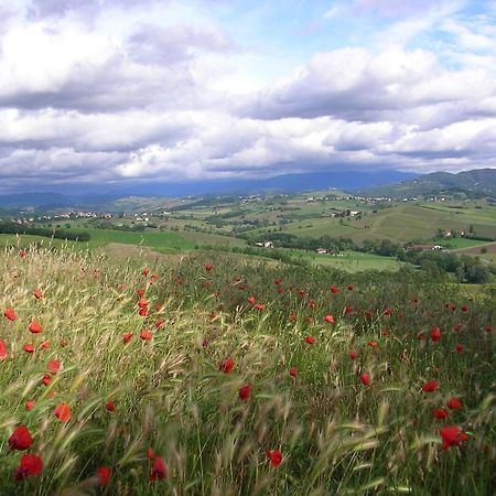 Villa Dei Romaniani Villaromagnano Экстерьер фото
