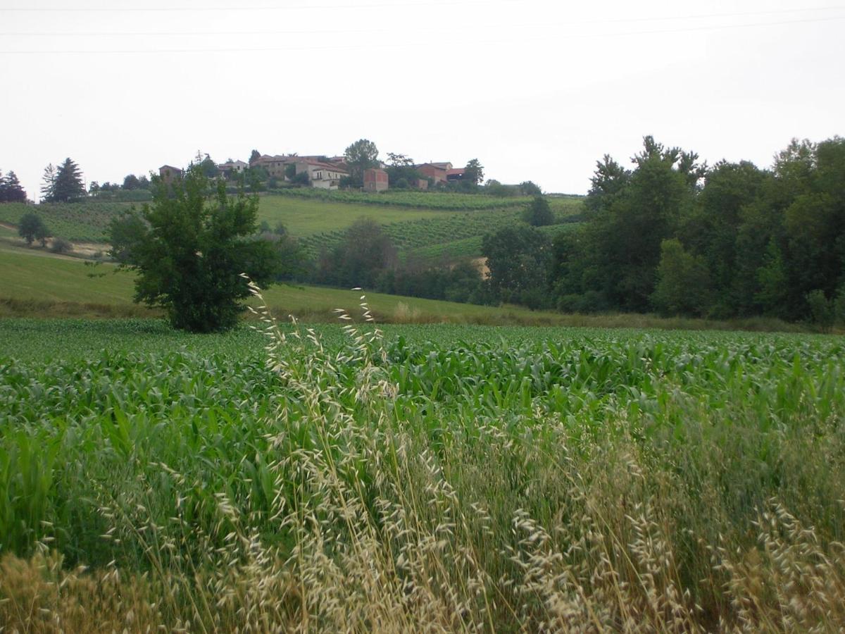 Villa Dei Romaniani Villaromagnano Экстерьер фото